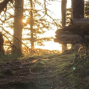 Meet your Posher, Mandy